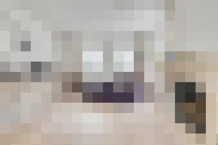 Mossel 27 Middenmeer thumbnail 11