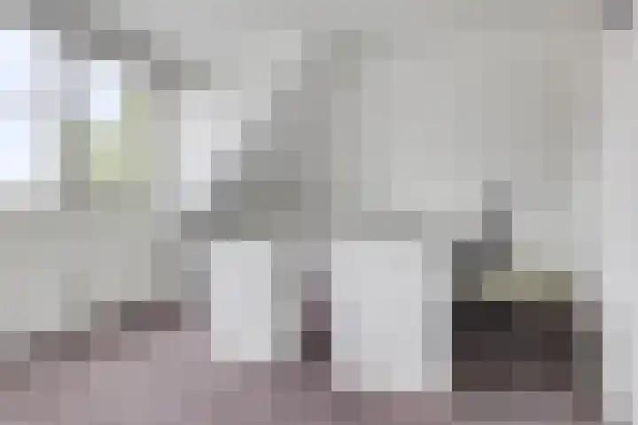 Mossel 27 Middenmeer thumbnail 17