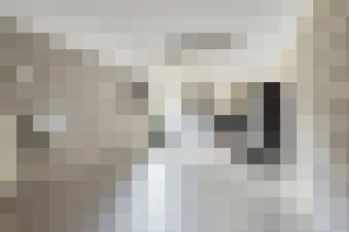Mossel 27 Middenmeer thumbnail 24