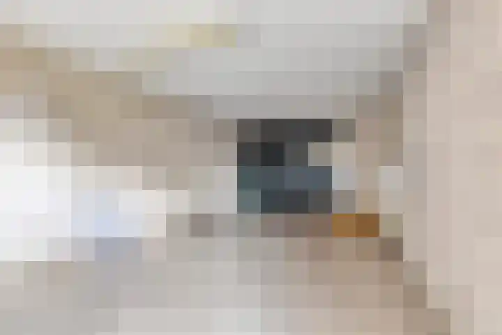 Mossel 27 Middenmeer thumbnail 25