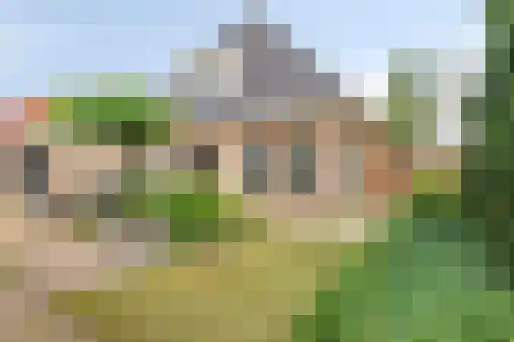 Mossel 27 Middenmeer thumbnail 27