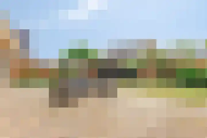 Mossel 27 Middenmeer thumbnail 28