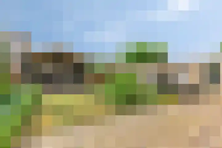 Mossel 27 Middenmeer thumbnail 29