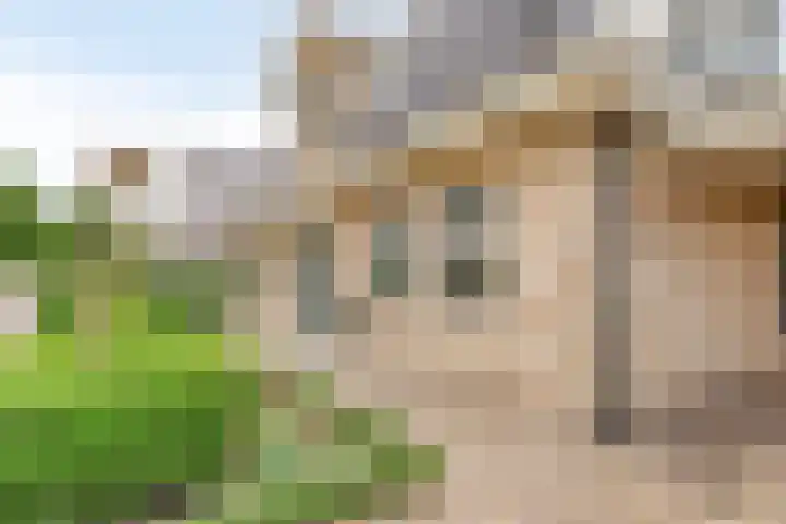 Mossel 27 Middenmeer thumbnail 31