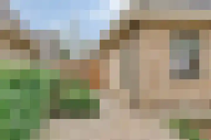 Mossel 27 Middenmeer thumbnail 32