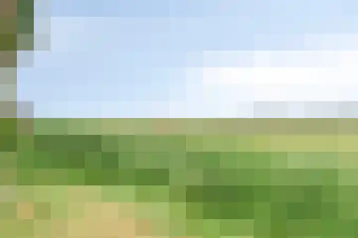 Mossel 27 Middenmeer thumbnail 33