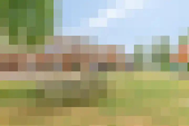 Mossel 27 Middenmeer thumbnail 34