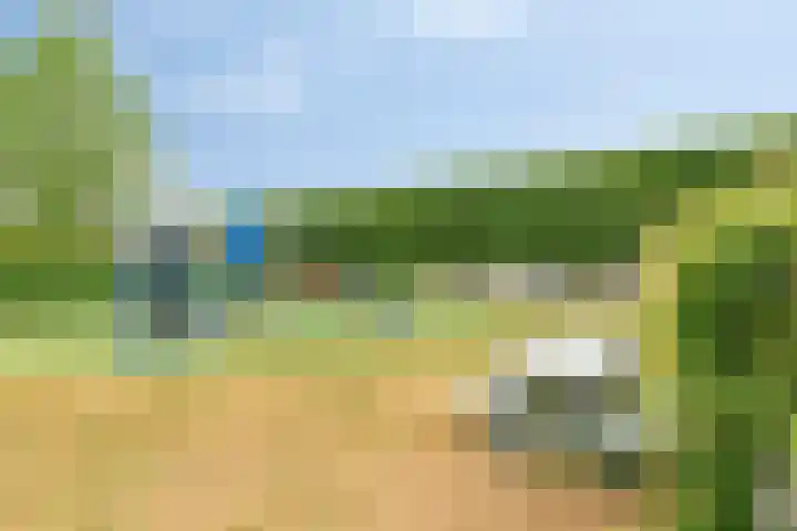 Mossel 27 Middenmeer thumbnail 35