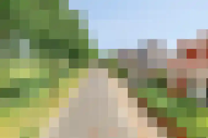 Mossel 27 Middenmeer thumbnail 36