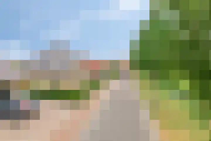 Mossel 27 Middenmeer thumbnail 37