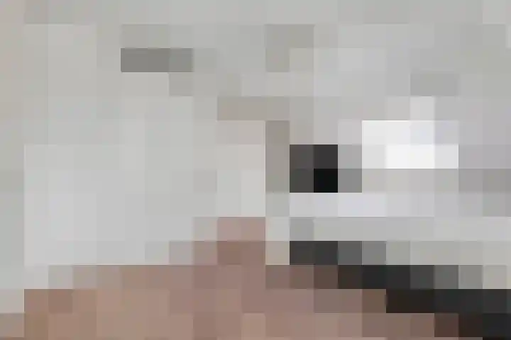 Mossel 27 Middenmeer thumbnail 4