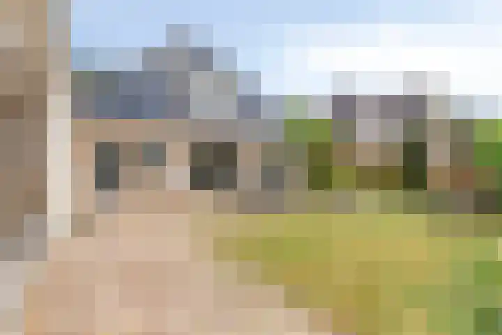 Mossel 27 Middenmeer thumbnail 5