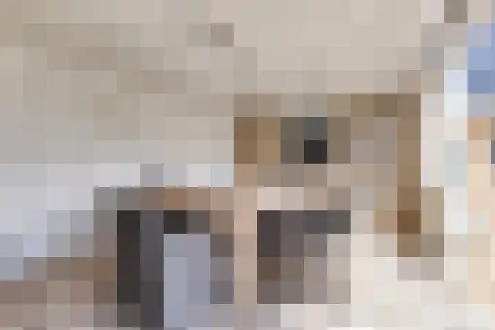 Mossel 27 Middenmeer thumbnail 6