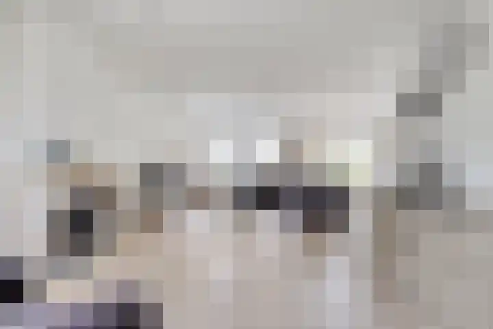 Mossel 27 Middenmeer thumbnail 8