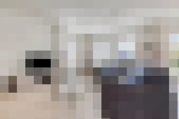 Mossel 27 Middenmeer thumbnail 9