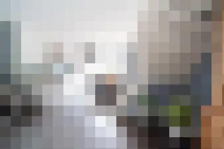 Mossel 34 Hellevoetsluis thumbnail 15