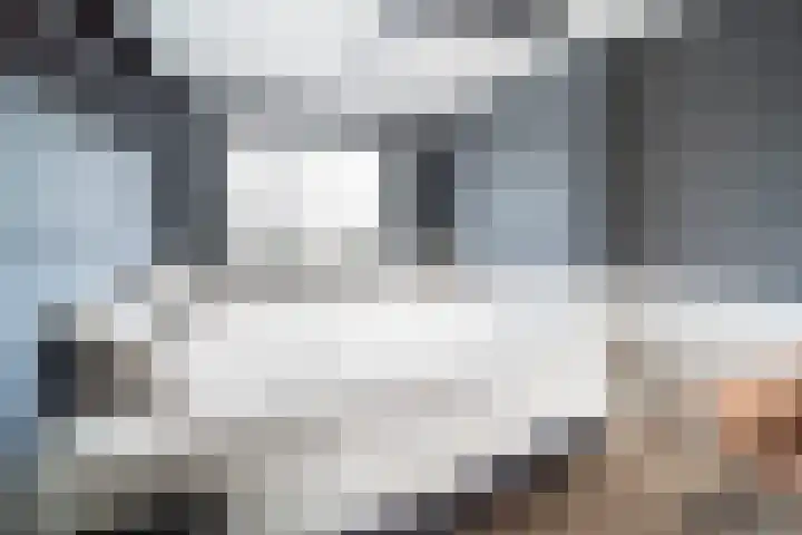 Mossel 34 Hellevoetsluis thumbnail 28