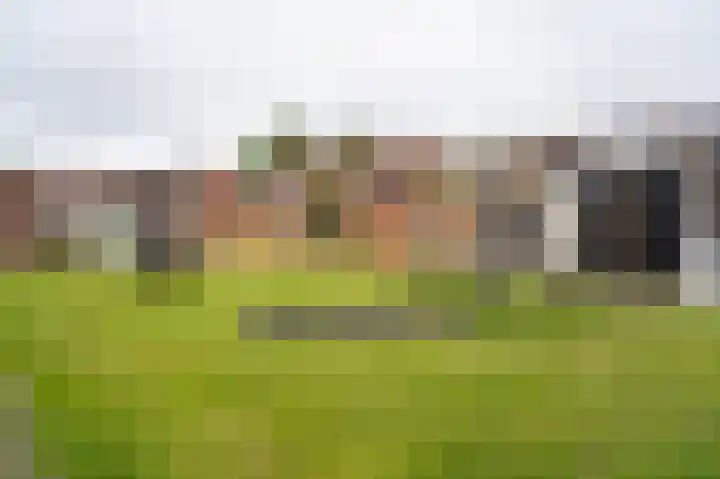 Mossel 34 Hellevoetsluis thumbnail 70