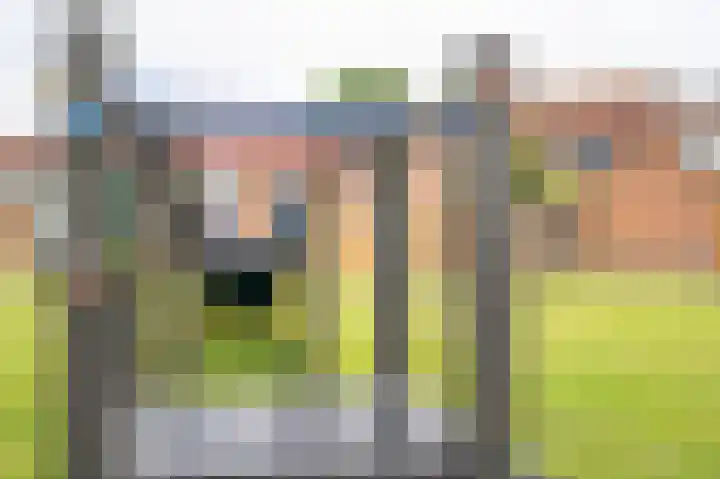 Mossel 34 Hellevoetsluis thumbnail 72
