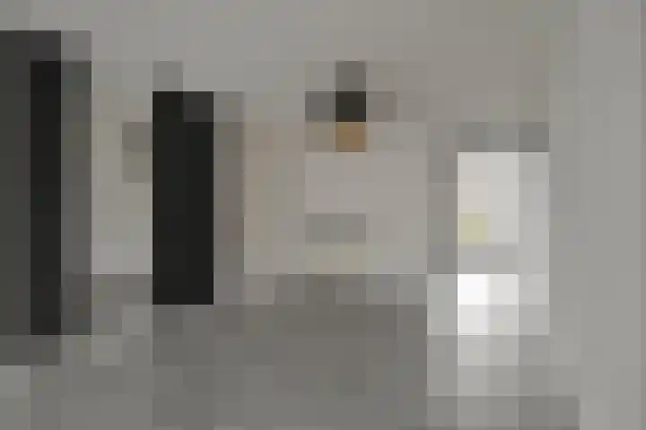 Mossel 43 Middenmeer thumbnail 10