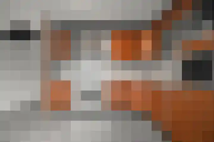 Mossel 43 Middenmeer thumbnail 11