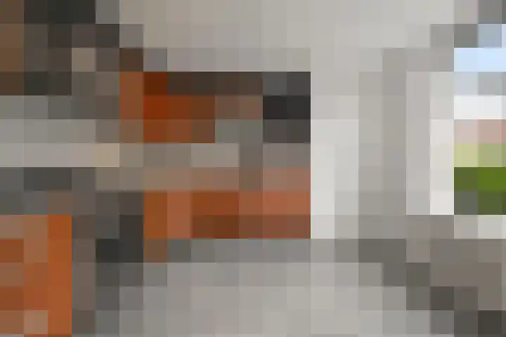 Mossel 43 Middenmeer thumbnail 12