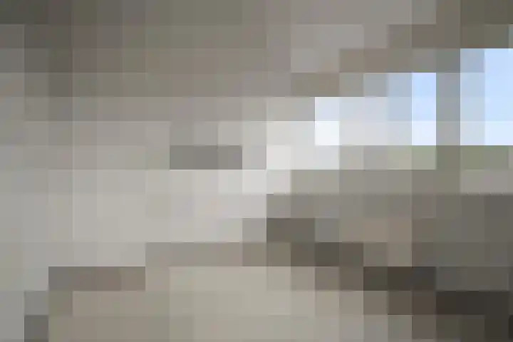 Mossel 43 Middenmeer thumbnail 16