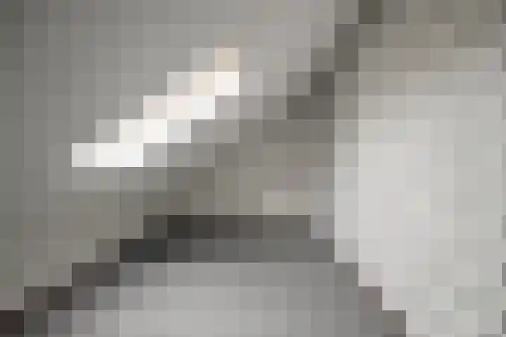 Mossel 43 Middenmeer thumbnail 17