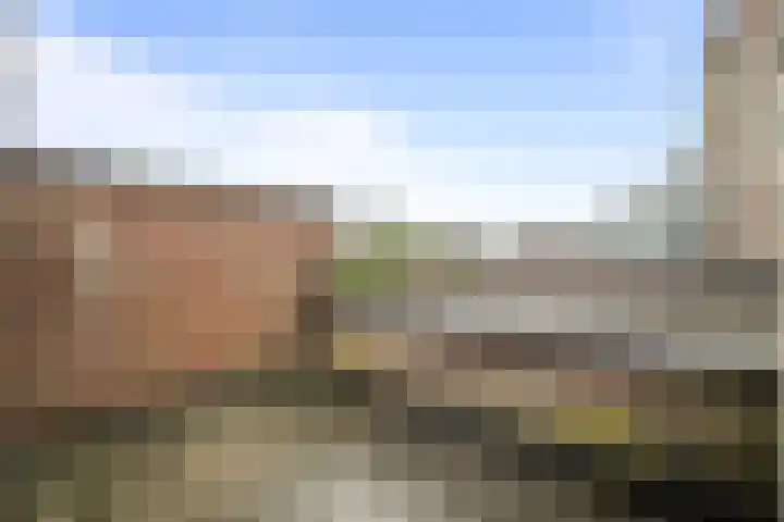 Mossel 43 Middenmeer thumbnail 20