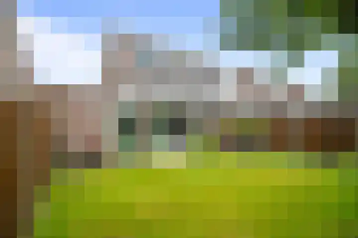 Mossel 43 Middenmeer thumbnail 23