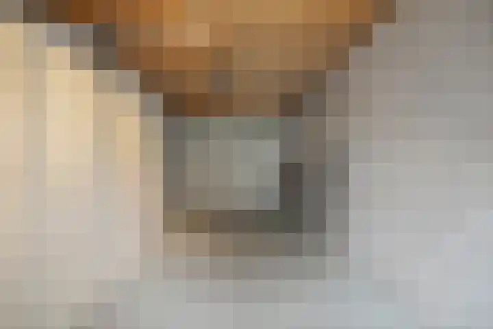 Mossel 43 Middenmeer thumbnail 24