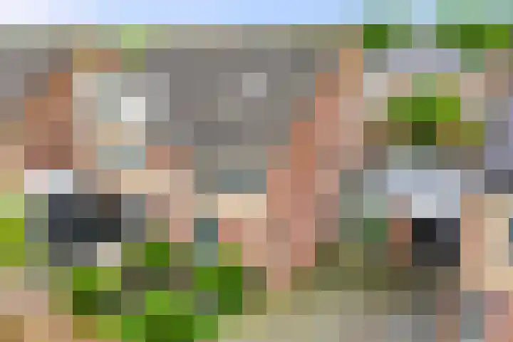 Mossel 43 Middenmeer thumbnail 25