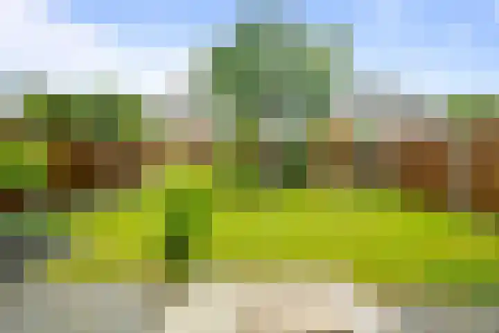Mossel 43 Middenmeer thumbnail 5