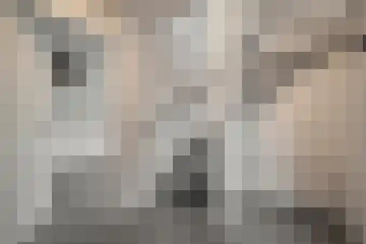 Mossel 43 Middenmeer thumbnail 6