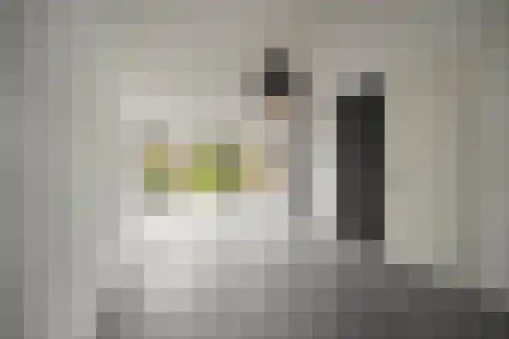 Mossel 43 Middenmeer thumbnail 8