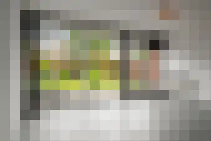 Mossel 43 Middenmeer thumbnail 9