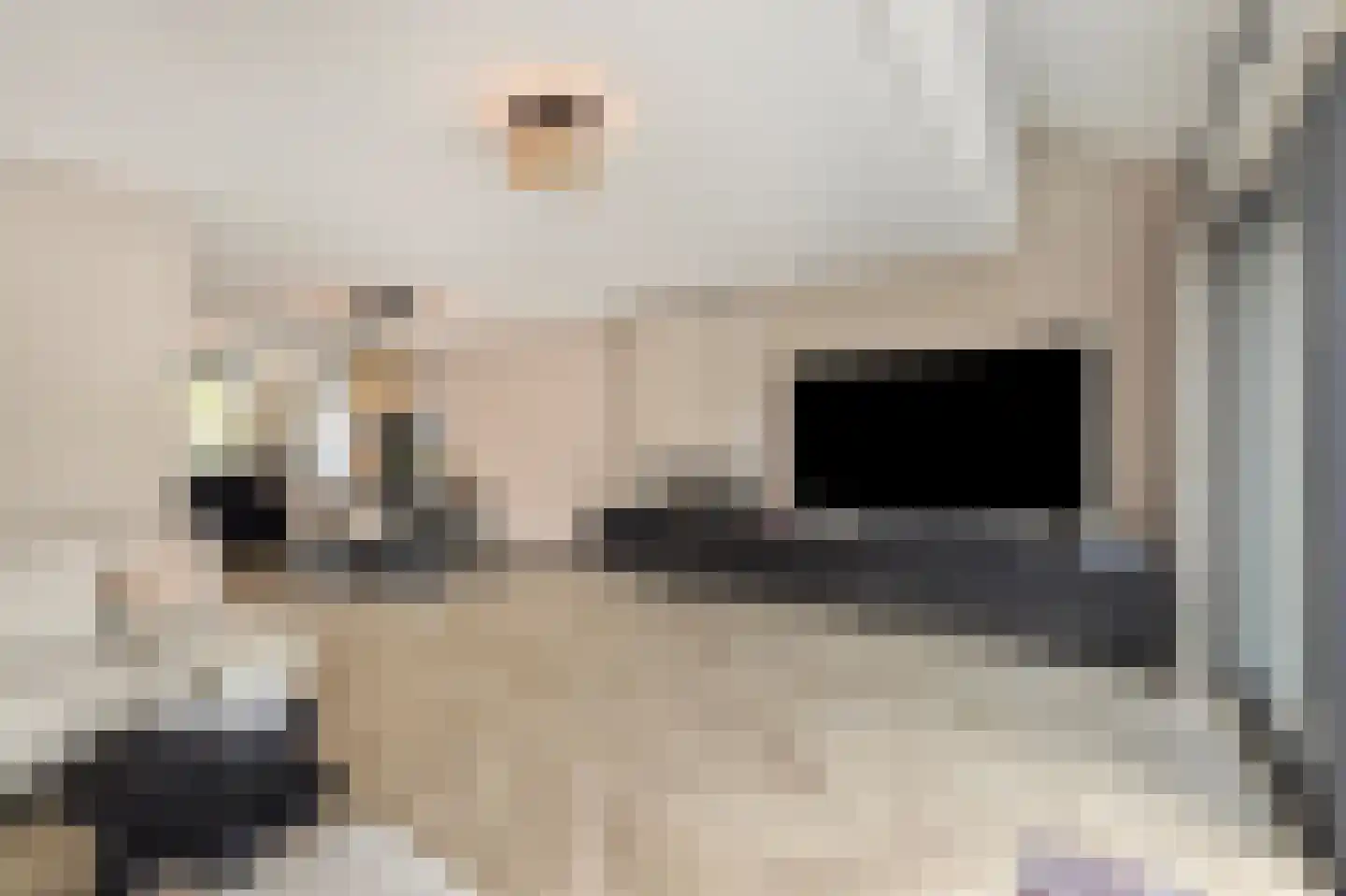Mossel 47 Middenmeer thumbnail 14