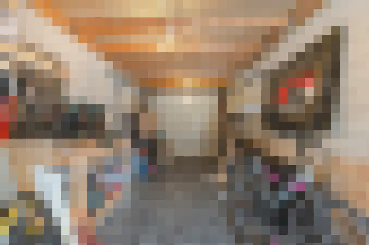 Mossel 47 Middenmeer thumbnail 47