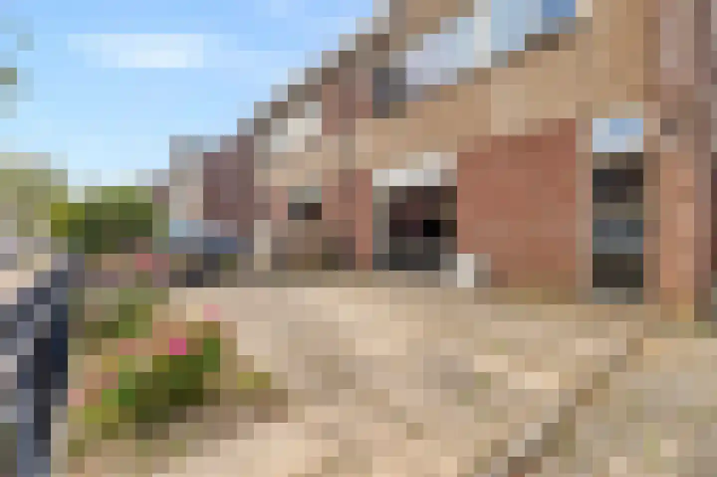 Mossel 47 Middenmeer thumbnail 5