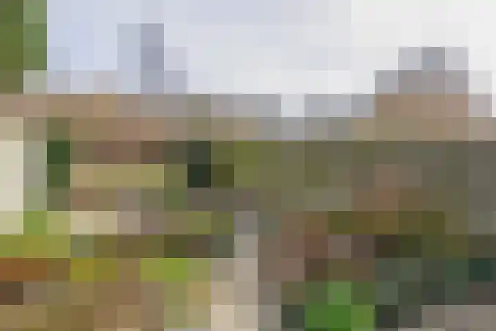 Mossel 49 Hellevoetsluis thumbnail 21