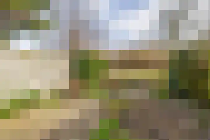 Mossel 49 Hellevoetsluis thumbnail 22