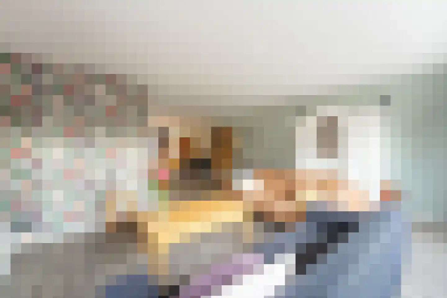 Mossel 6 IJsselmuiden thumbnail 17