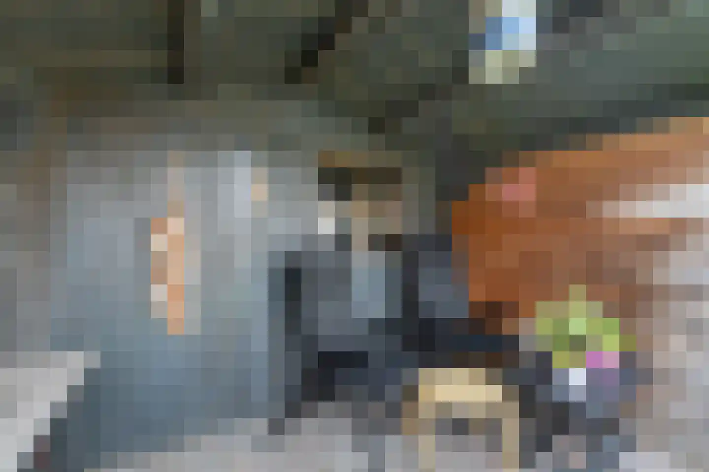 Mossel 6 IJsselmuiden thumbnail 33