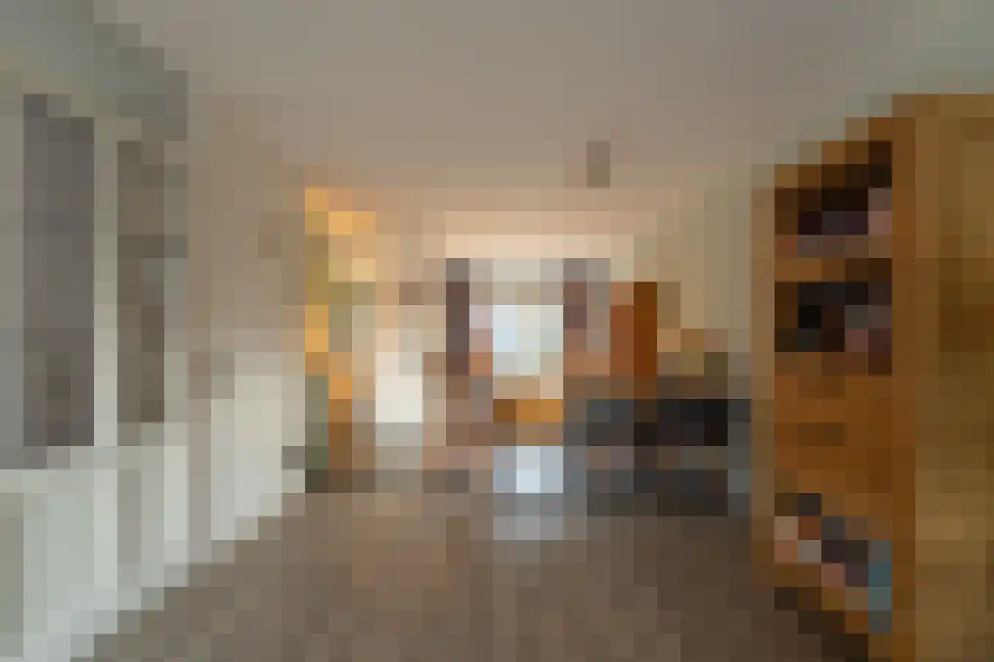 Mossel 6 IJsselmuiden thumbnail 4