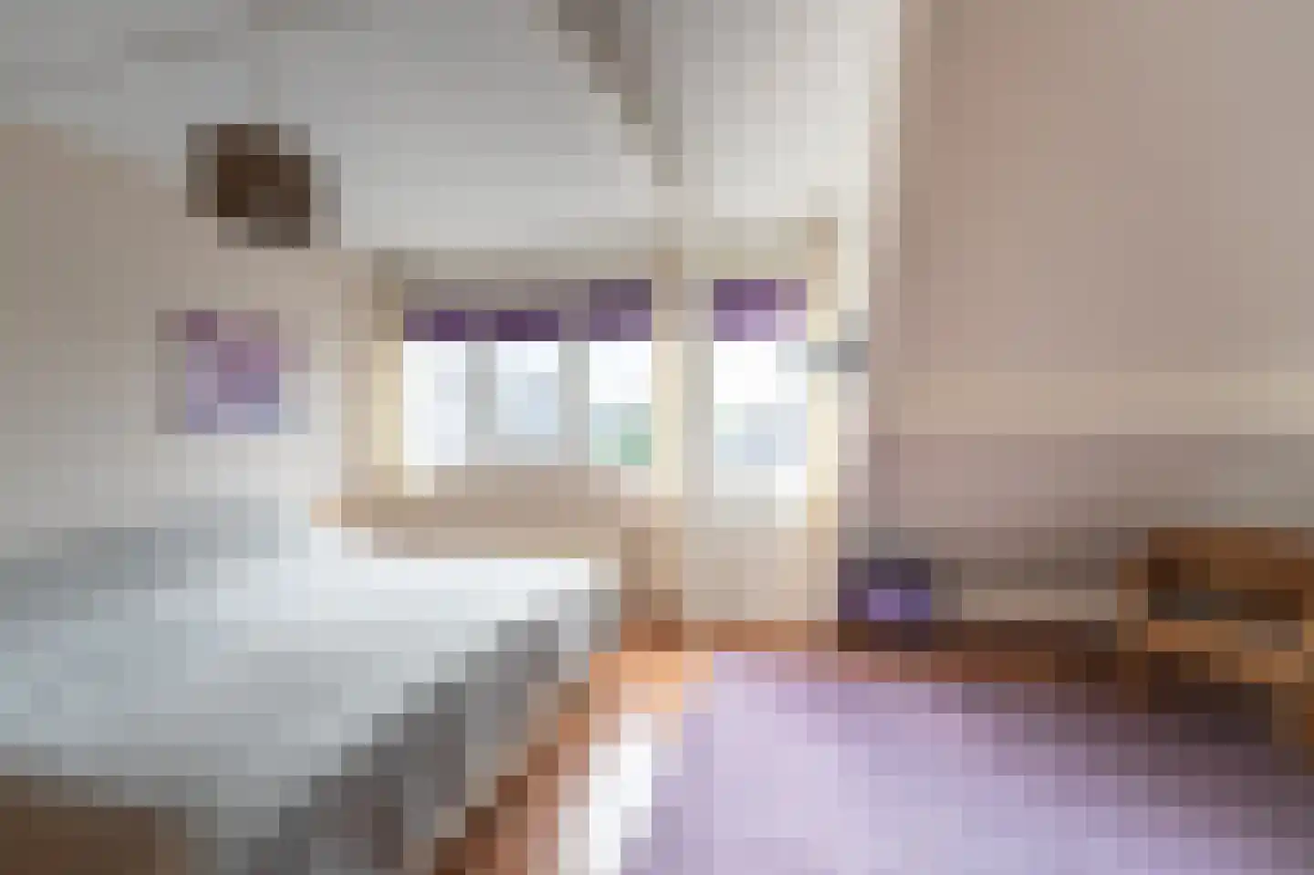 Mossel 6 IJsselmuiden thumbnail 41