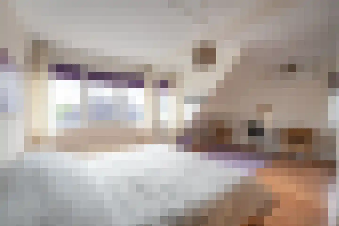 Mossel 6 IJsselmuiden thumbnail 42