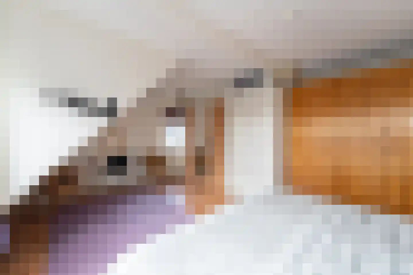 Mossel 6 IJsselmuiden thumbnail 43
