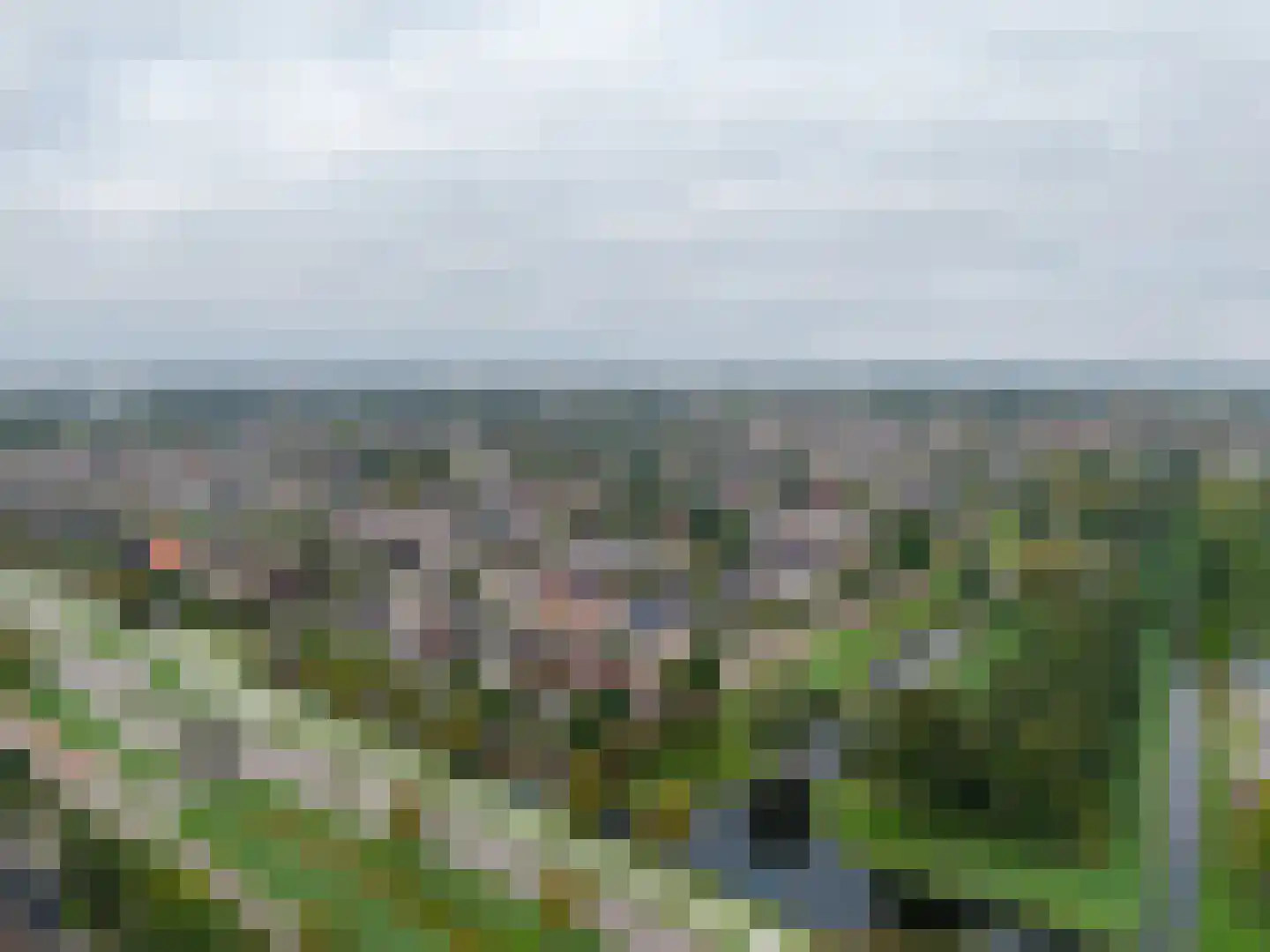 Mossel 6 IJsselmuiden thumbnail 56