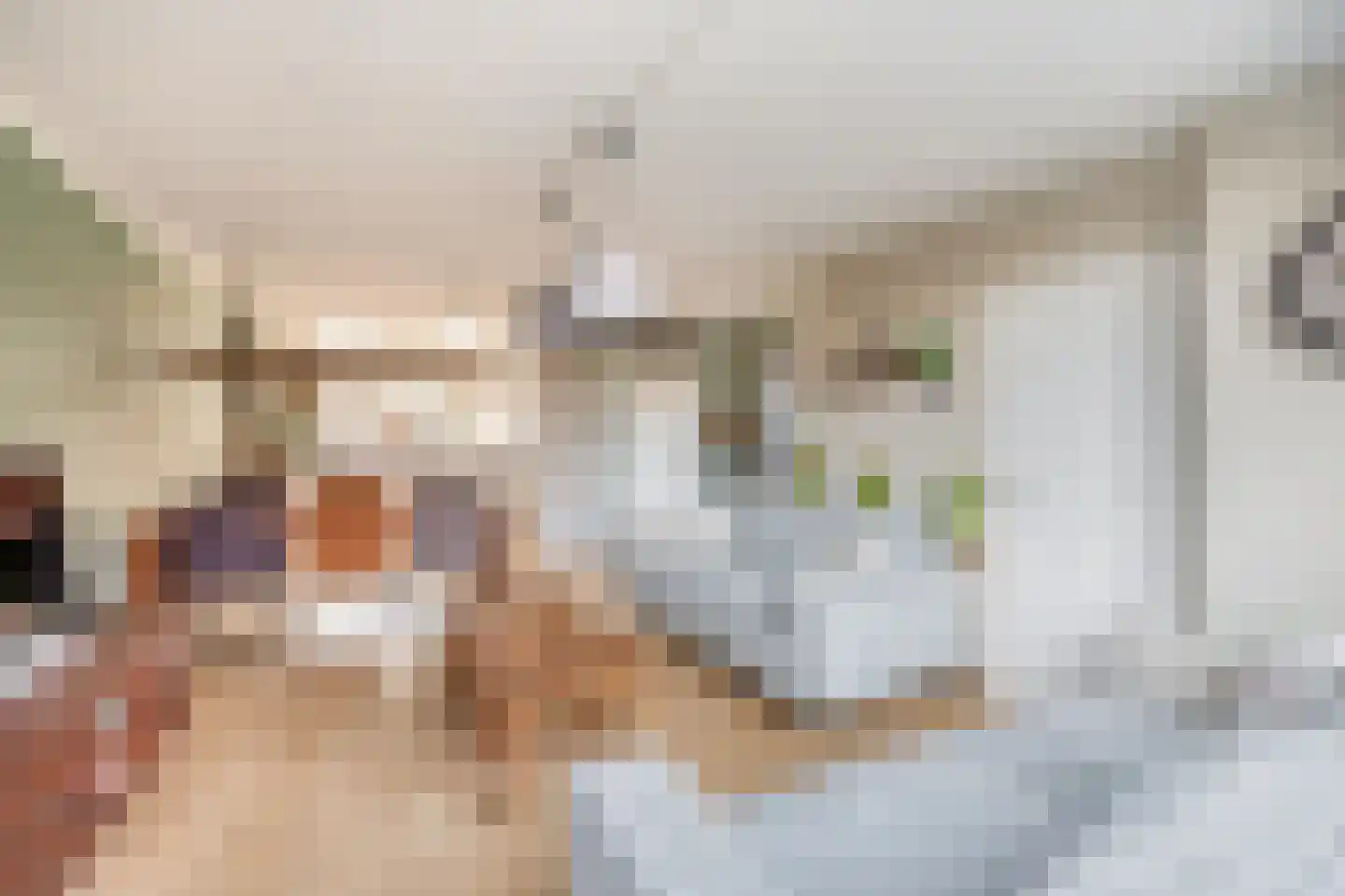 Mossel 73 Hellevoetsluis thumbnail 14