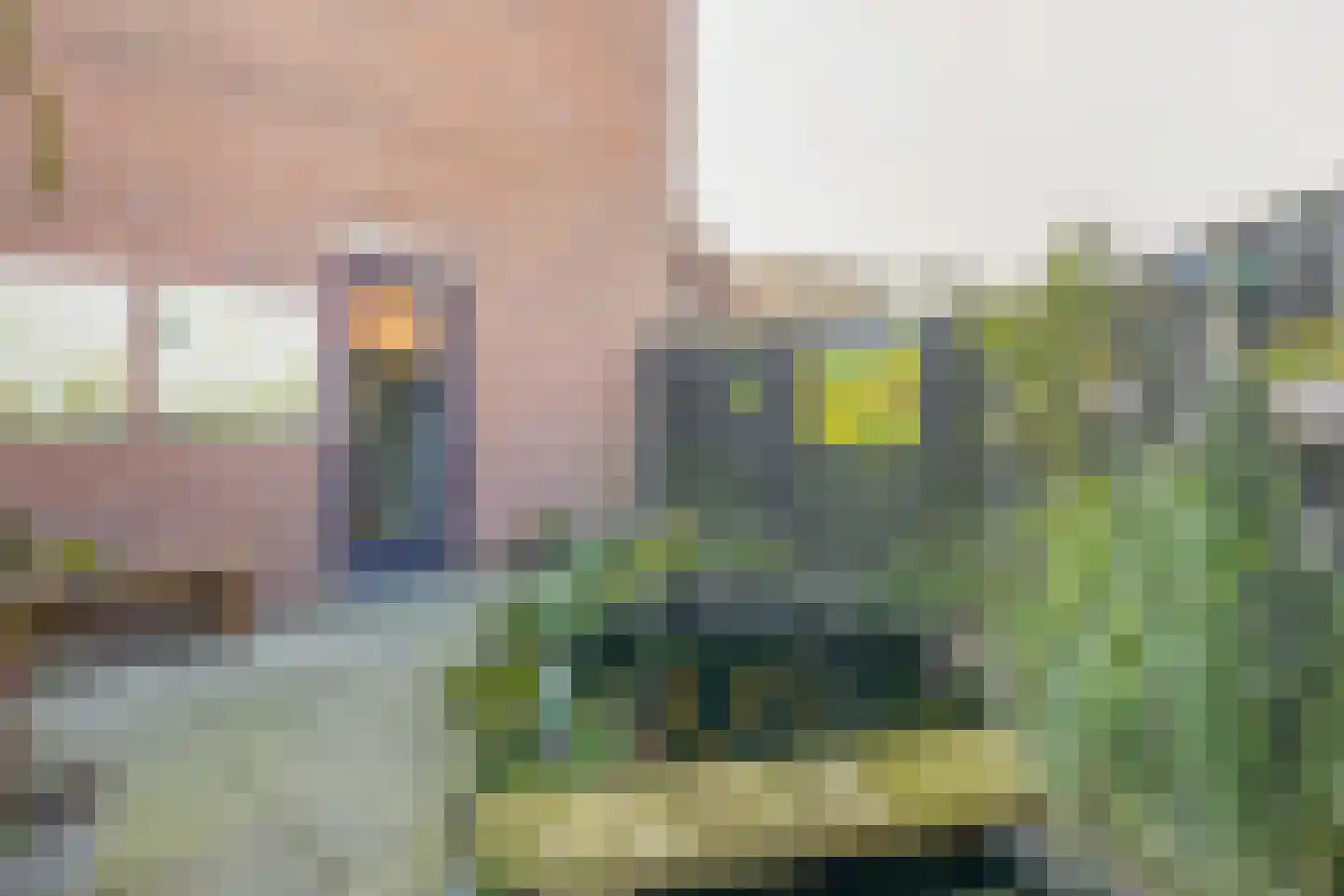 Mossel 73 Hellevoetsluis thumbnail 25